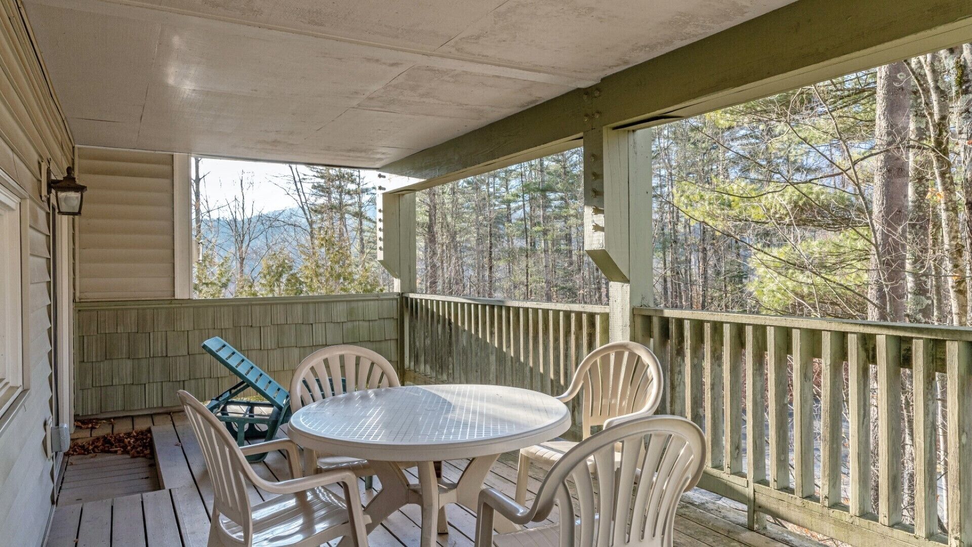 Happiness is found in Nature.    Stowe 2 bedroom Condo