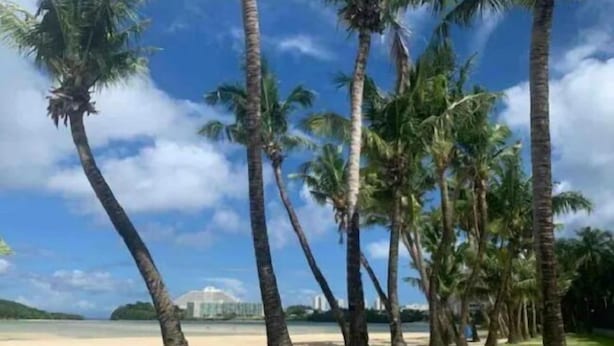 A beach with palm trees and a building in the background.