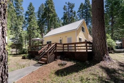 East Village Shaver Lake Cabin - Mellow Yellow