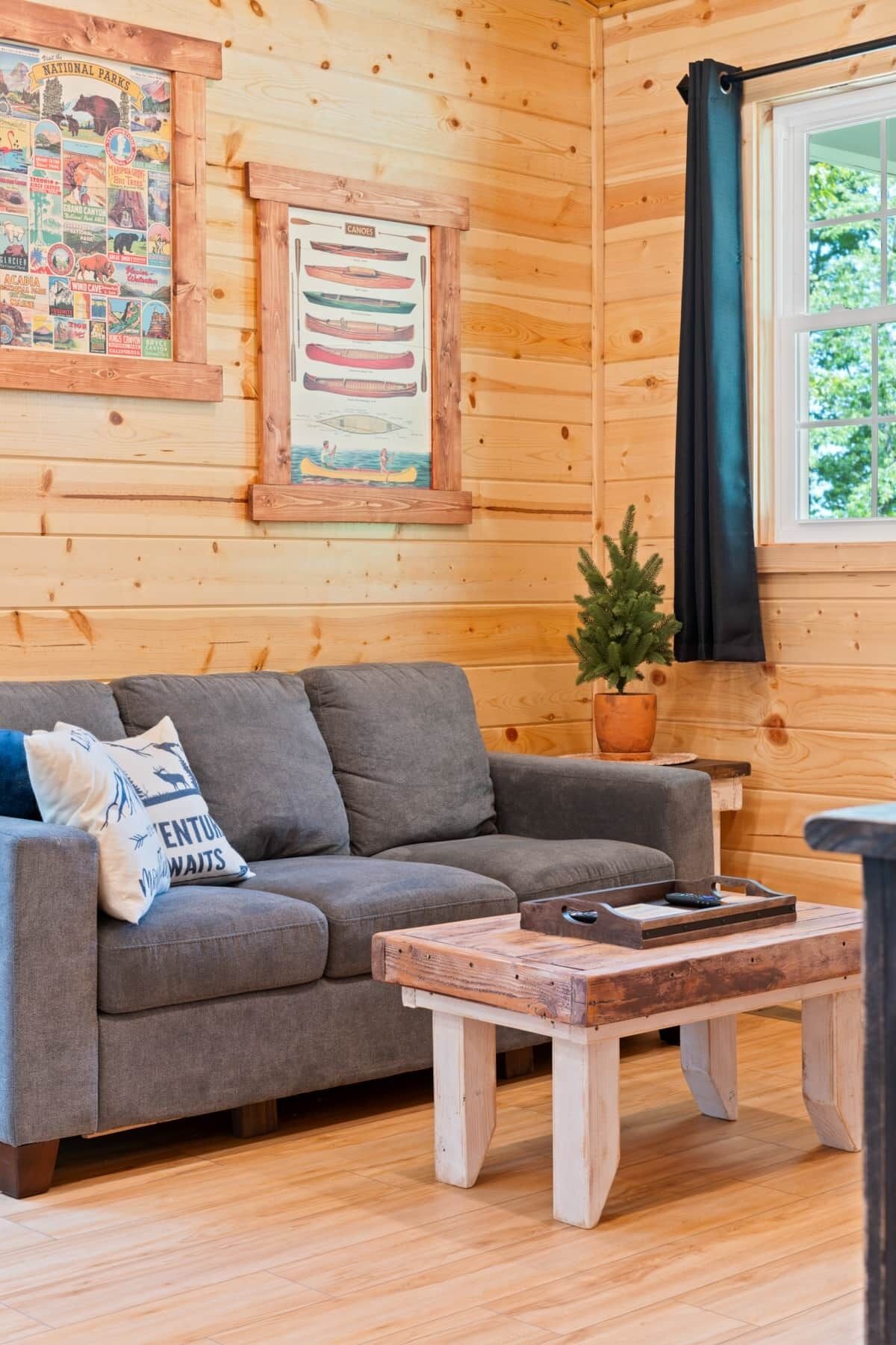 Fireplace, DVD player