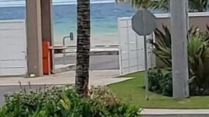A beachfront building with a covered seating area, palm trees, and a view of the ocean. - Le-Rendezvous A Charming 2 Bedroom 2 Bath home (Lucea)