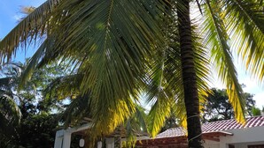 Una casa con un muro de piedra, una palmera y un cielo azul despejado.