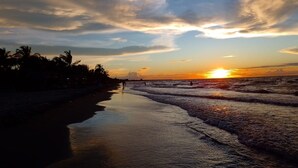 Escena de playa con atardecer, palmeras y mar tranquilo.