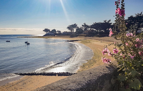 Plage à proximité