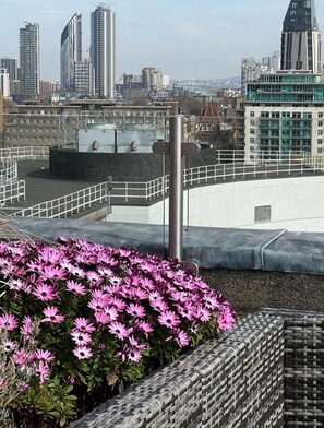 View from property - Cozy central one bed flat with stunning rooftop (London)