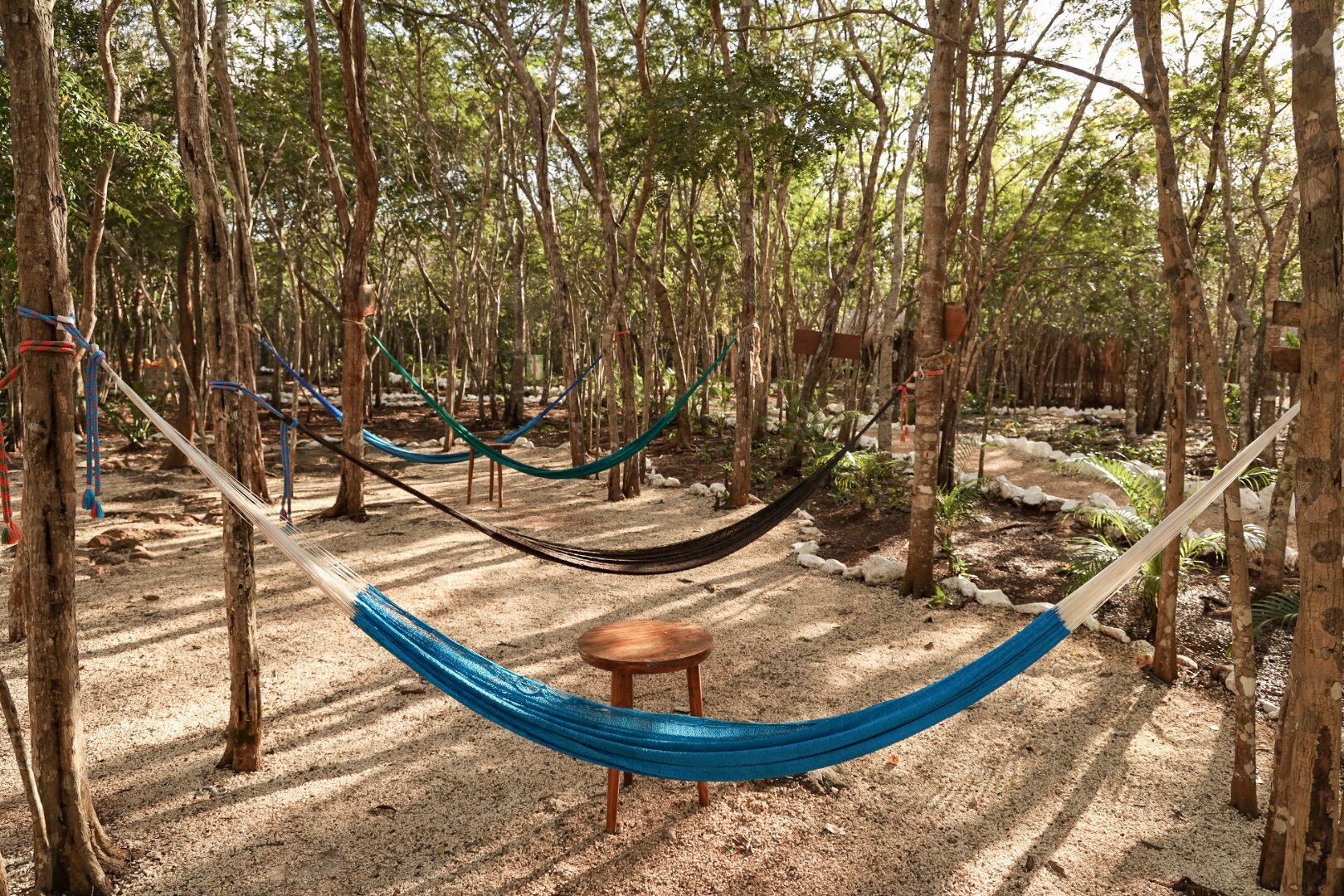 Área de parrilladas y picnic