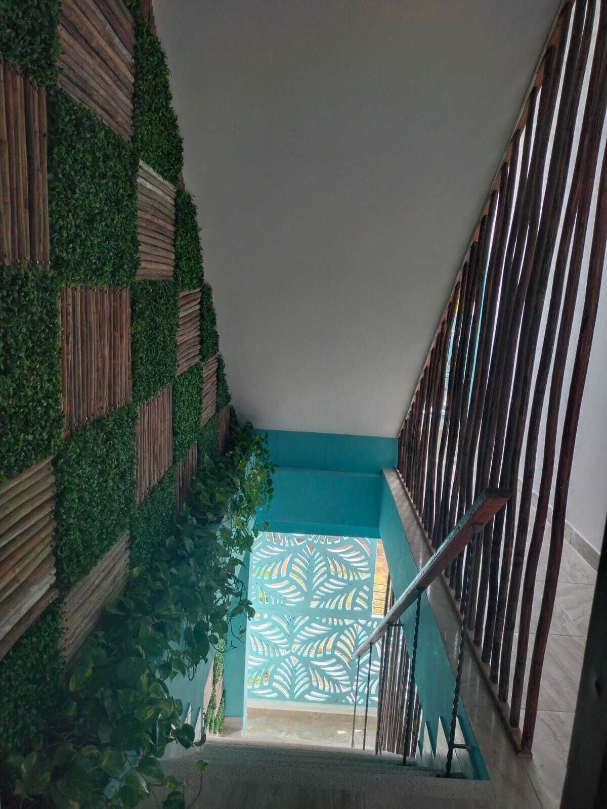 Foto - Avadia del Mar