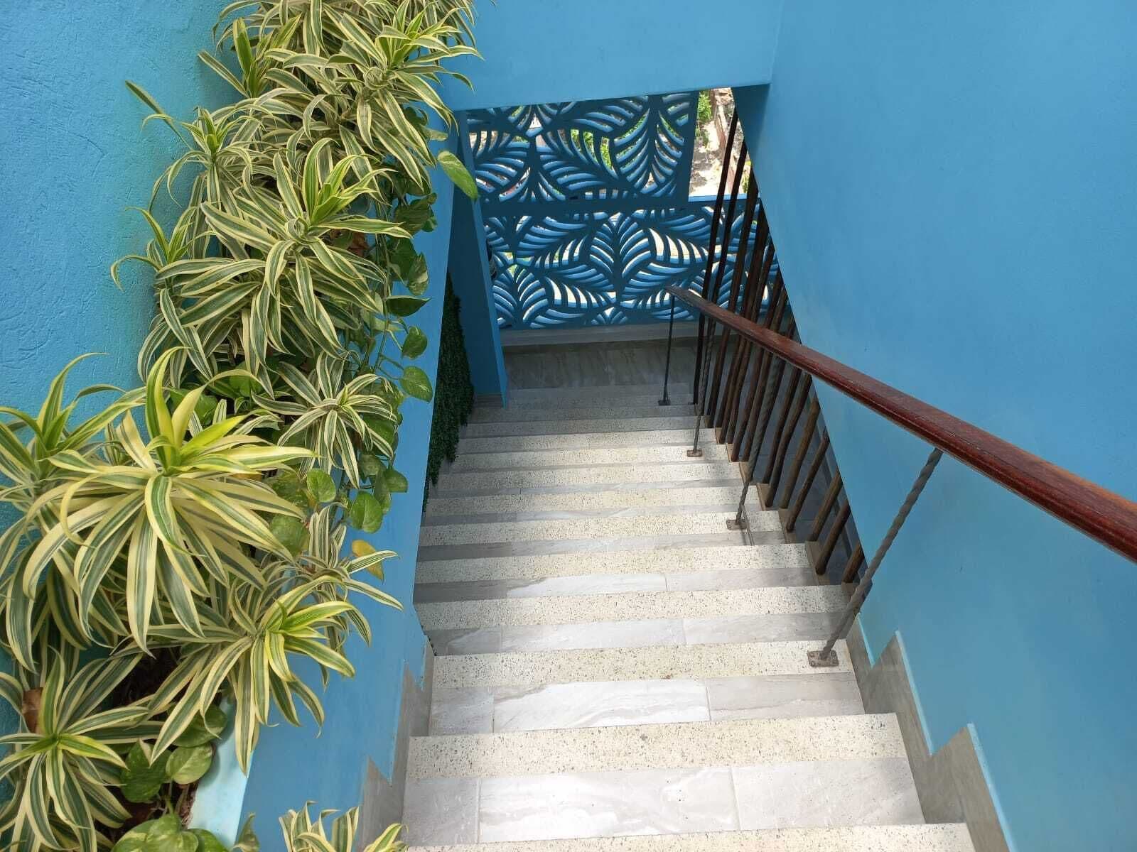 Foto - Avadia del Mar