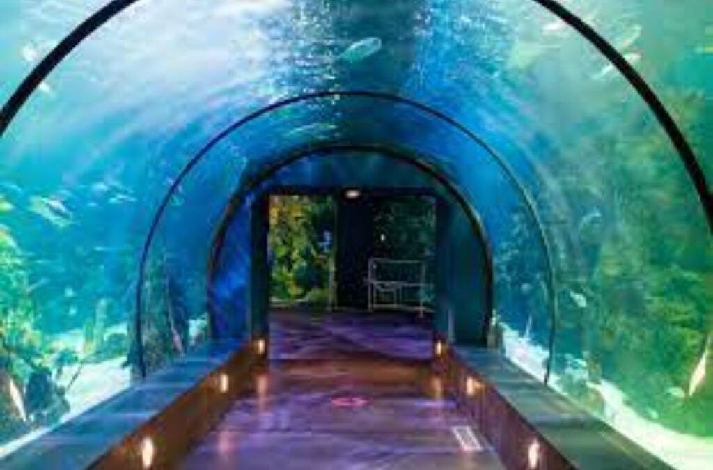 1 bedroom 1 bath home