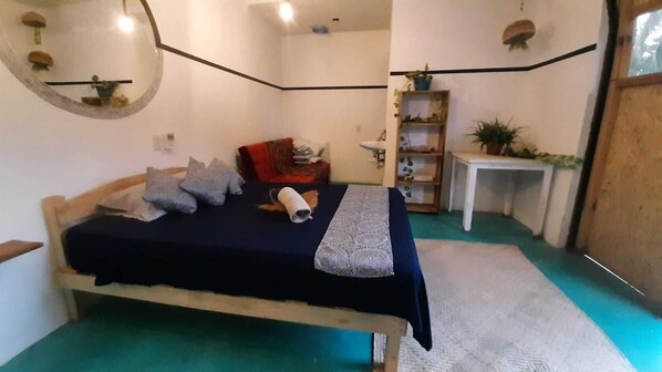 Chambre de base, 1 chambre, rez-de-chaussée | Couette en duvet, décor unique, ameublement unique