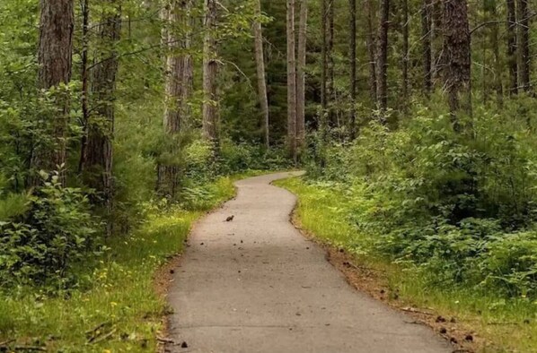 Property grounds - Lakeshore Cabin/Home sleeps 8, North MN Heaven (Babbitt)