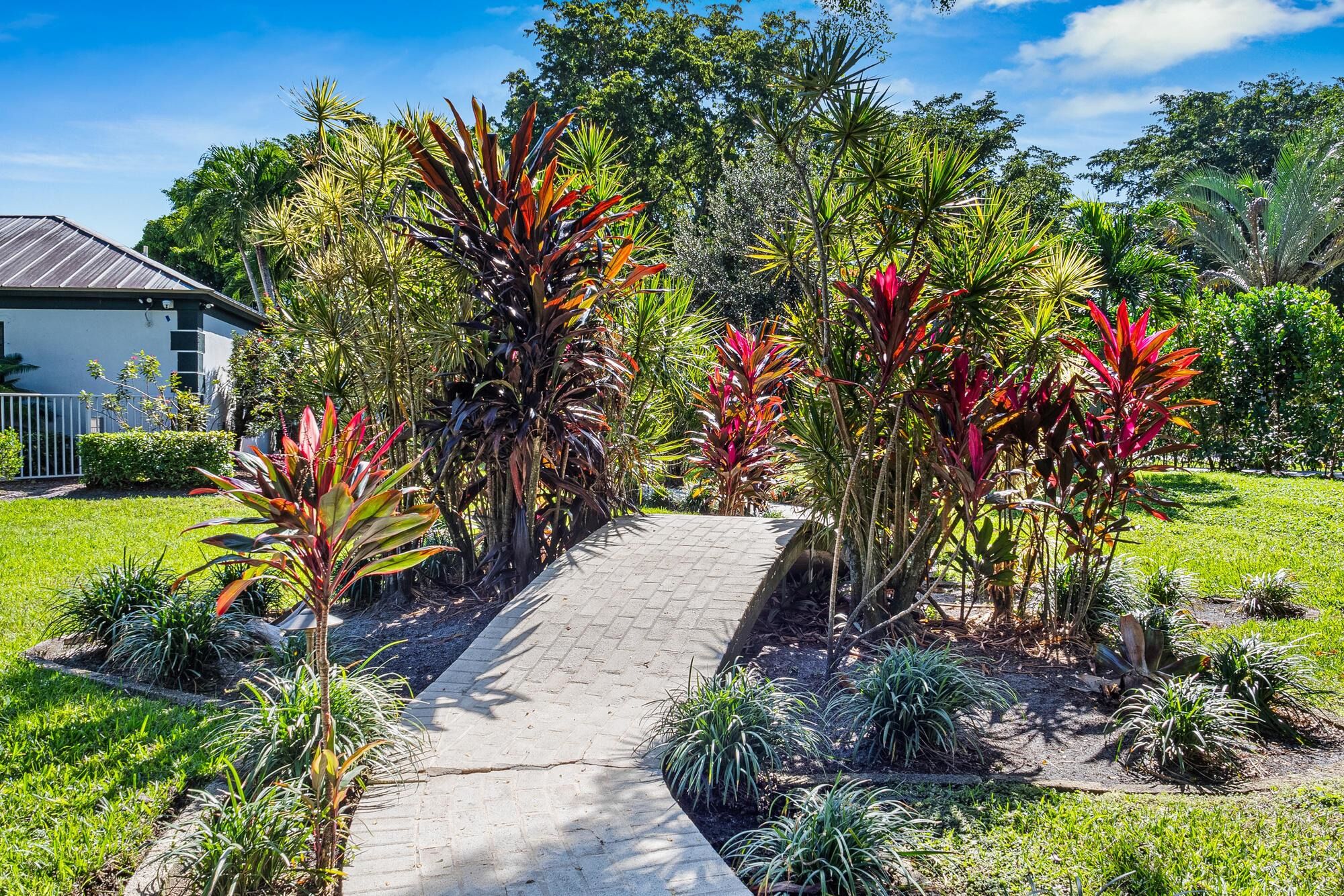 Un sendero conduce a una casa rodeada de exuberante vegetación tropical.