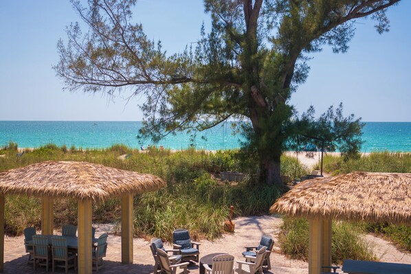 Property grounds - 🏝Beachfront Condo Overlooking Gulf of Mexico🏝 (Nokomis)