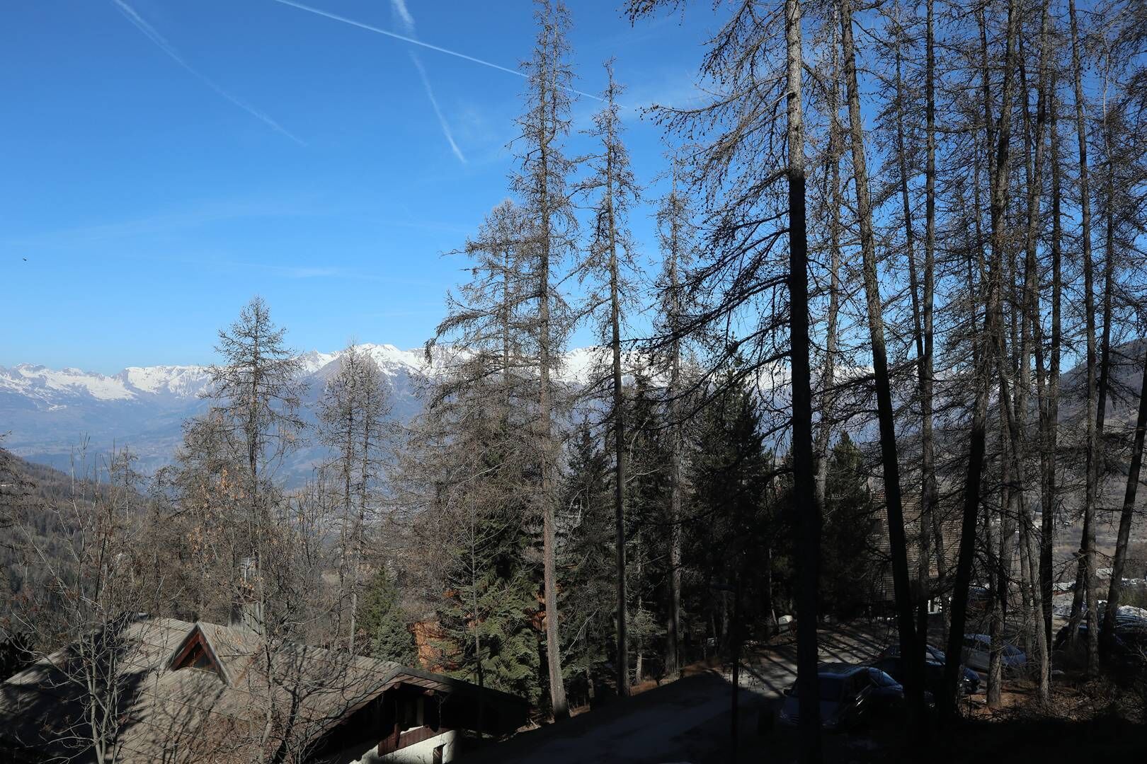 A mountainous landscape with snow-capped peaks, a forested area with tall trees, and a small cabin with a sloped roof.