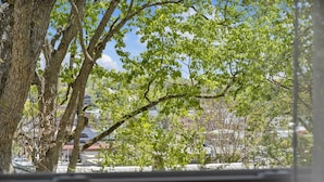 Vista a través de una ventana, con un árbol en primer plano y edificios al fondo.