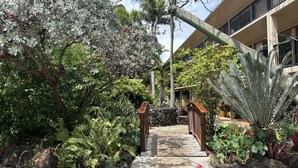 A pathway leading to a building with a balcony, surrounded by lush greenery and various plants. - Beautiful Ocean view of Sunny South Shore at Poipu Beach in Kauai (Koloa)