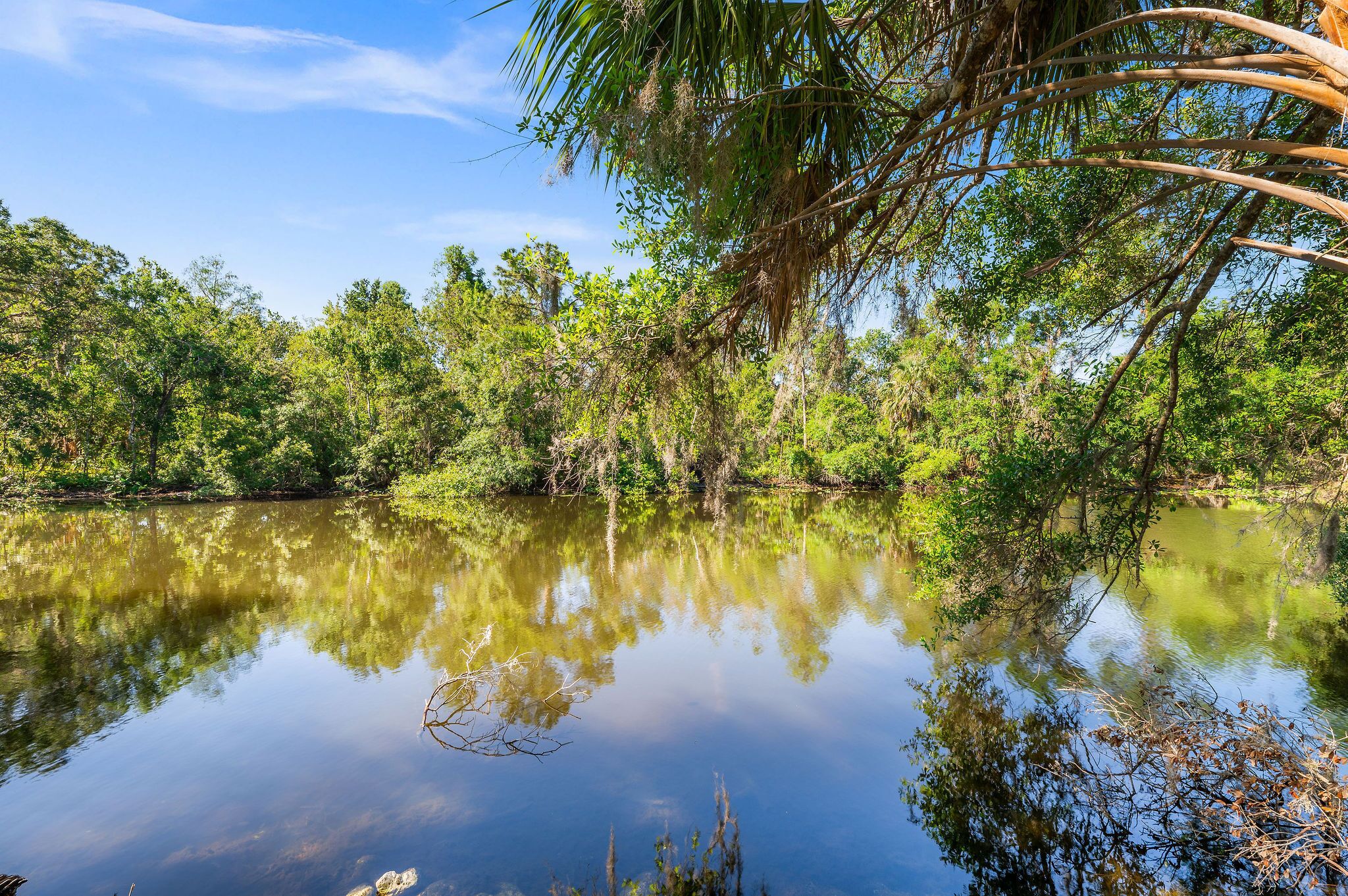 A calm river surrounded by dense greenery and trees.