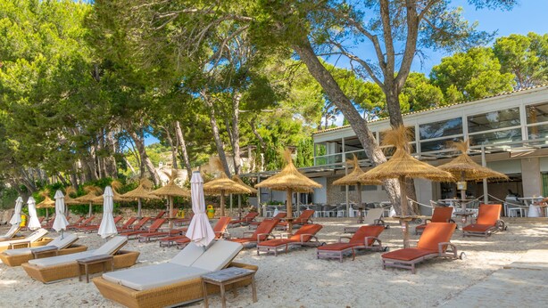 Un complexe hôtelier en bord de mer, doté de chaises longues, de parasols en chaume et d’un bâtiment moderne avec de grandes fenêtres.