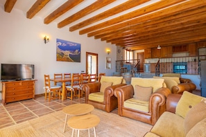 Televisión, chimenea y tenis de mesa 