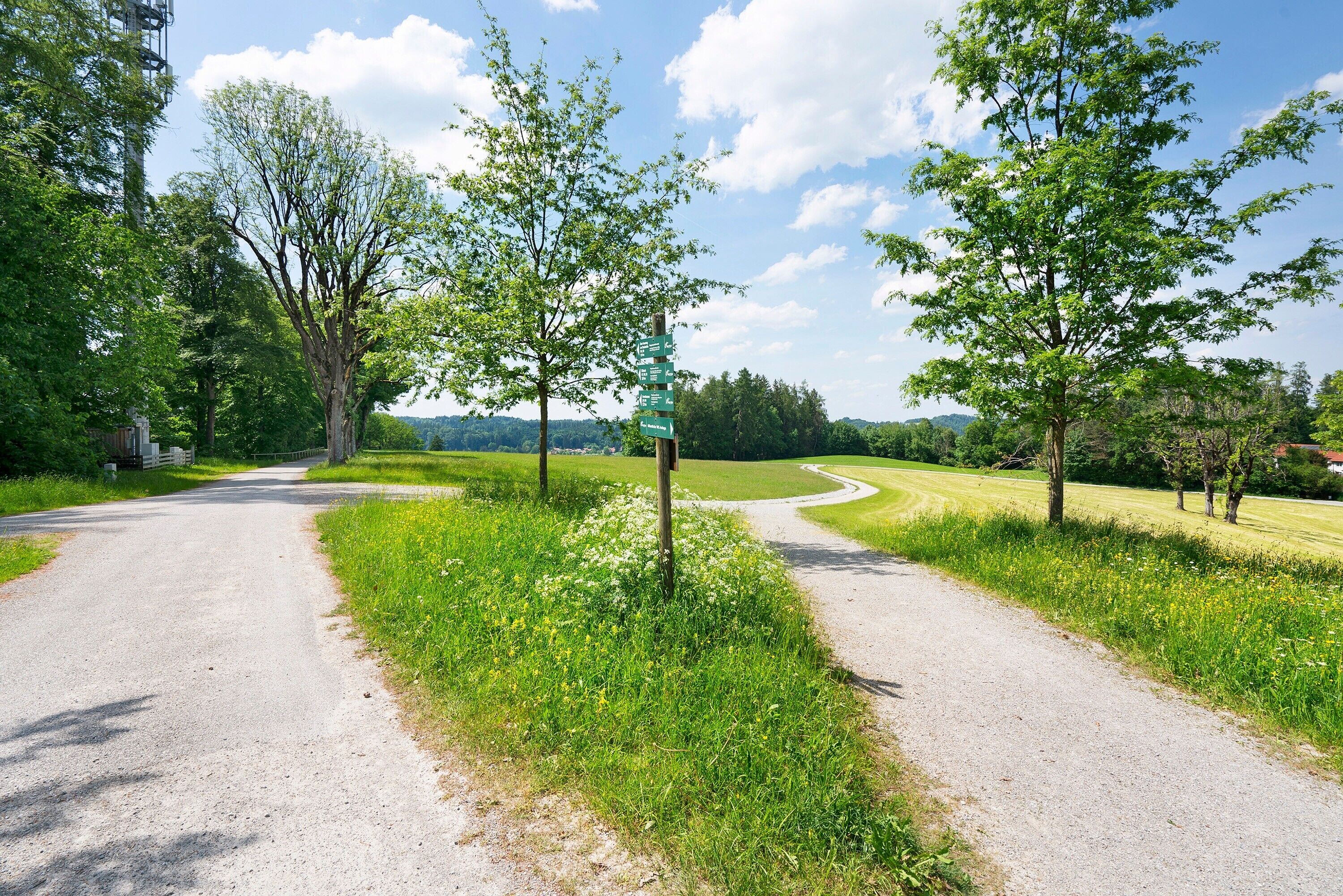 A rural road with a directional signpost, surrounded by trees and open fields.