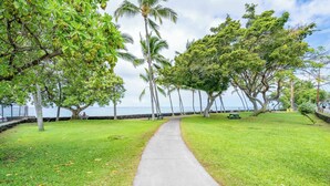 Property grounds - spectacular ocean front studio condo,  Magic sands, ideal view and location (Kailua-Kona)