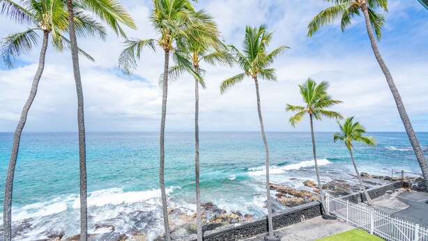 A coastal view with palm trees and a stone wall. - spectacular ocean front studio condo,  Magic sands, ideal view and location (Kailua-Kona)
