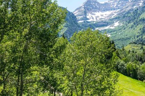 Imagen sin descripción, 3 de 50, botón