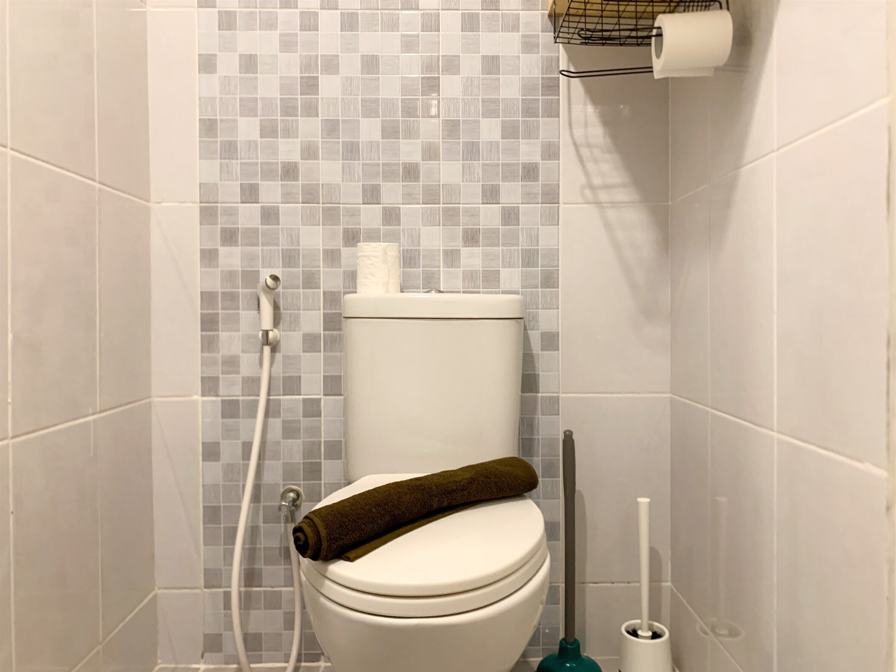 A bathroom with a toilet, a shower, and a toilet paper holder.