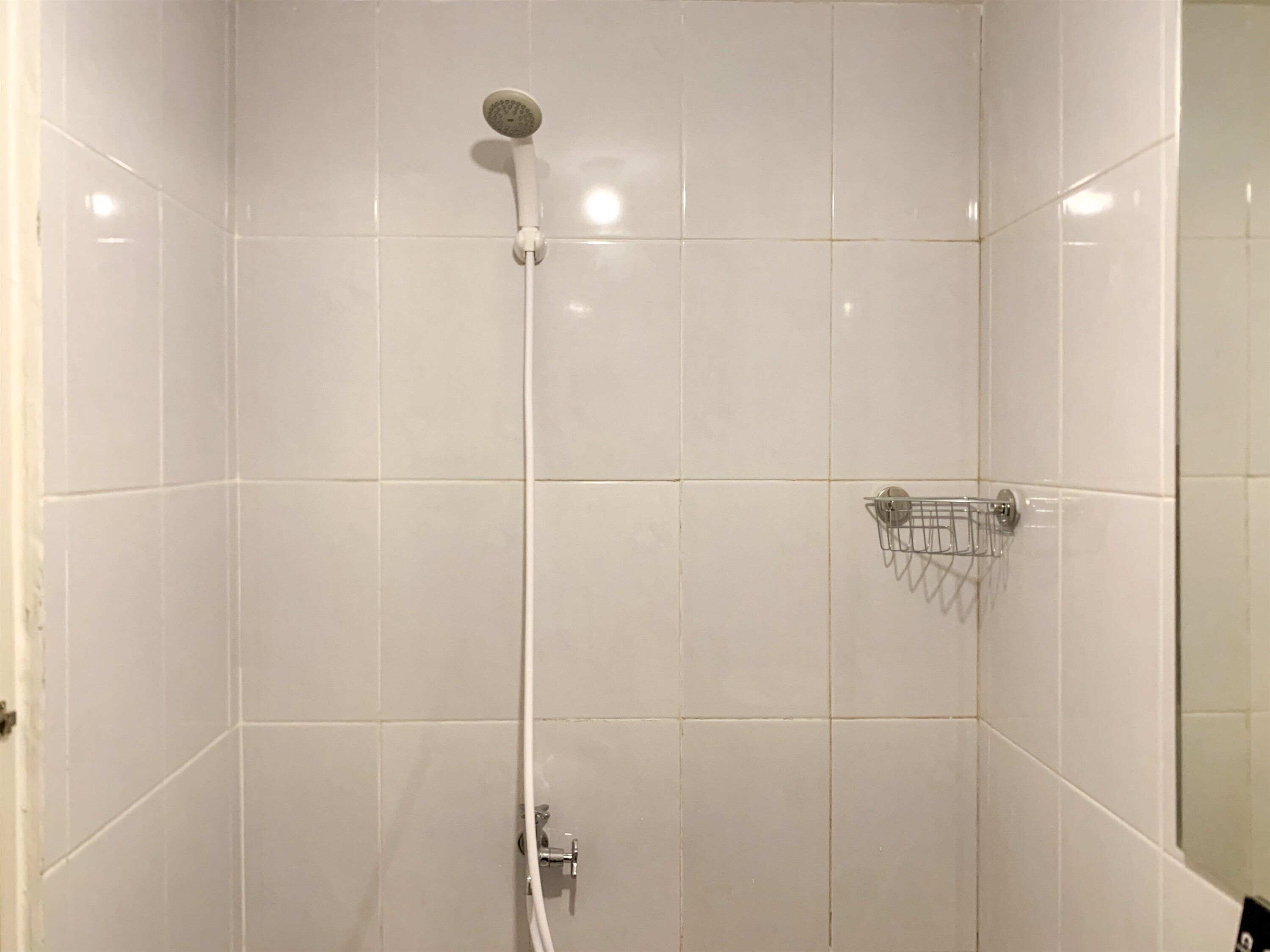 A shower with a handheld showerhead and a wall-mounted faucet.