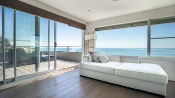 Smart TV, fireplace, DVD player, books