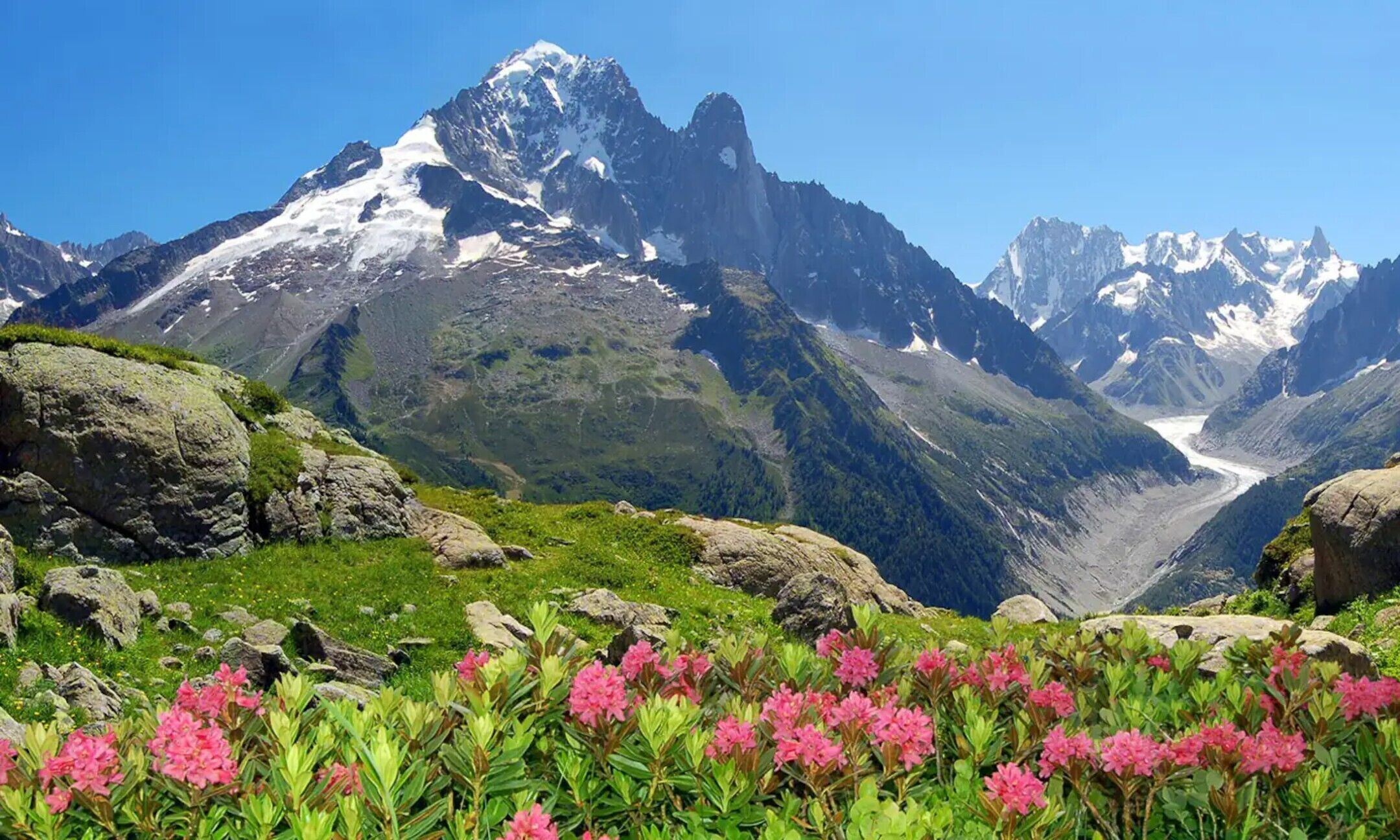 منوع