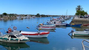 Un puerto deportivo con varias embarcaciones amarradas, agua tranquila y cielo despejado.
