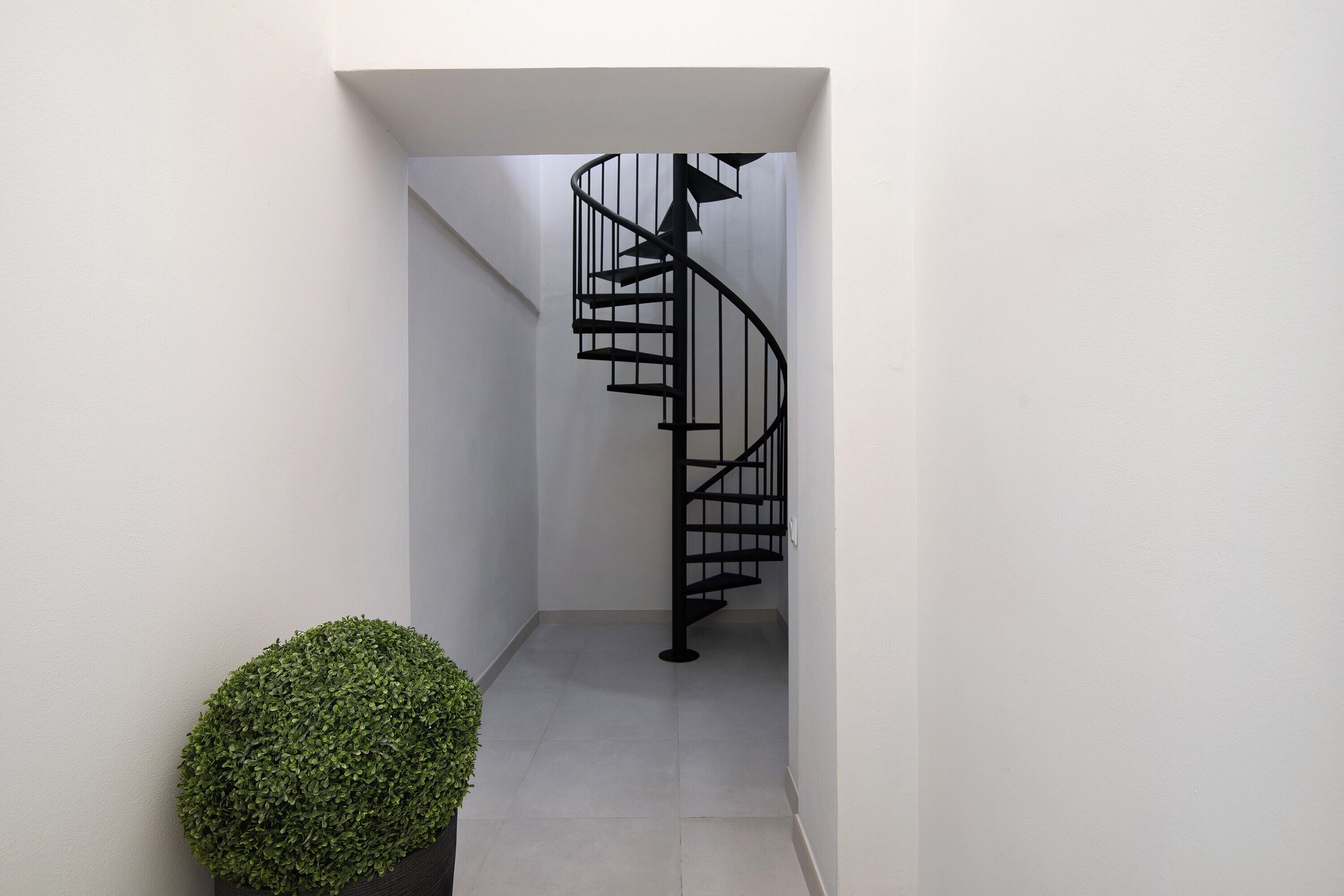 Un escalier en colimaçon dans un couloir, avec une plante en pot.