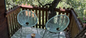 Chalet Clos des Fontaines with panoramic views and swimming pool in the heart of Vaucluse