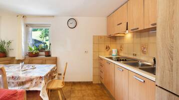 Kühlschrank, Mikrowelle, Herdplatte, Geschirrspüler