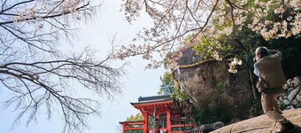 Nonsmoking Standard Recommended for Nanki tra / Shingu Wakayama