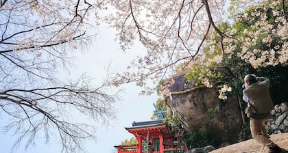 Nonsmoking Standard Recommended for Nanki tra / Shingu Wakayama