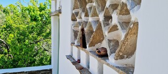 The Luxurious Smardakito Village Pool House