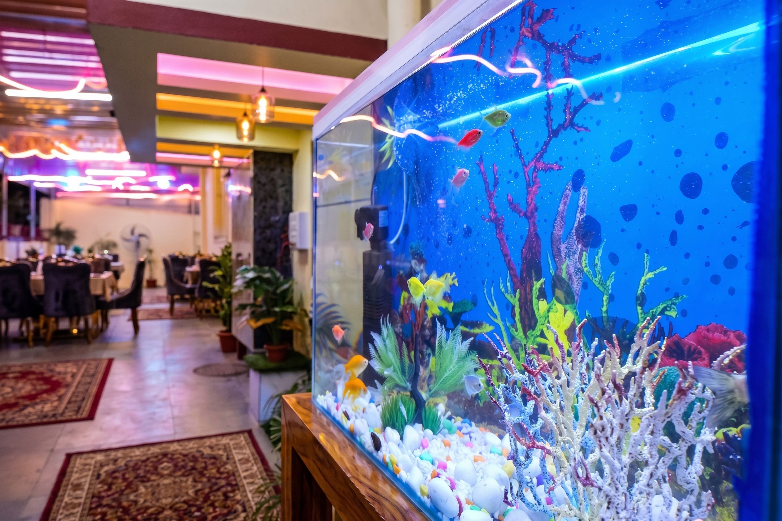 A large aquarium with various fish and coral, placed in a room with tables and chairs.
