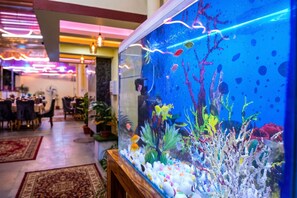 Un acuario grande con varios peces y corales, ubicado en una sala con mesas y sillas.
