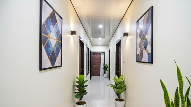 A hallway with framed artwork on the walls, potted plants, and a carpeted floor.