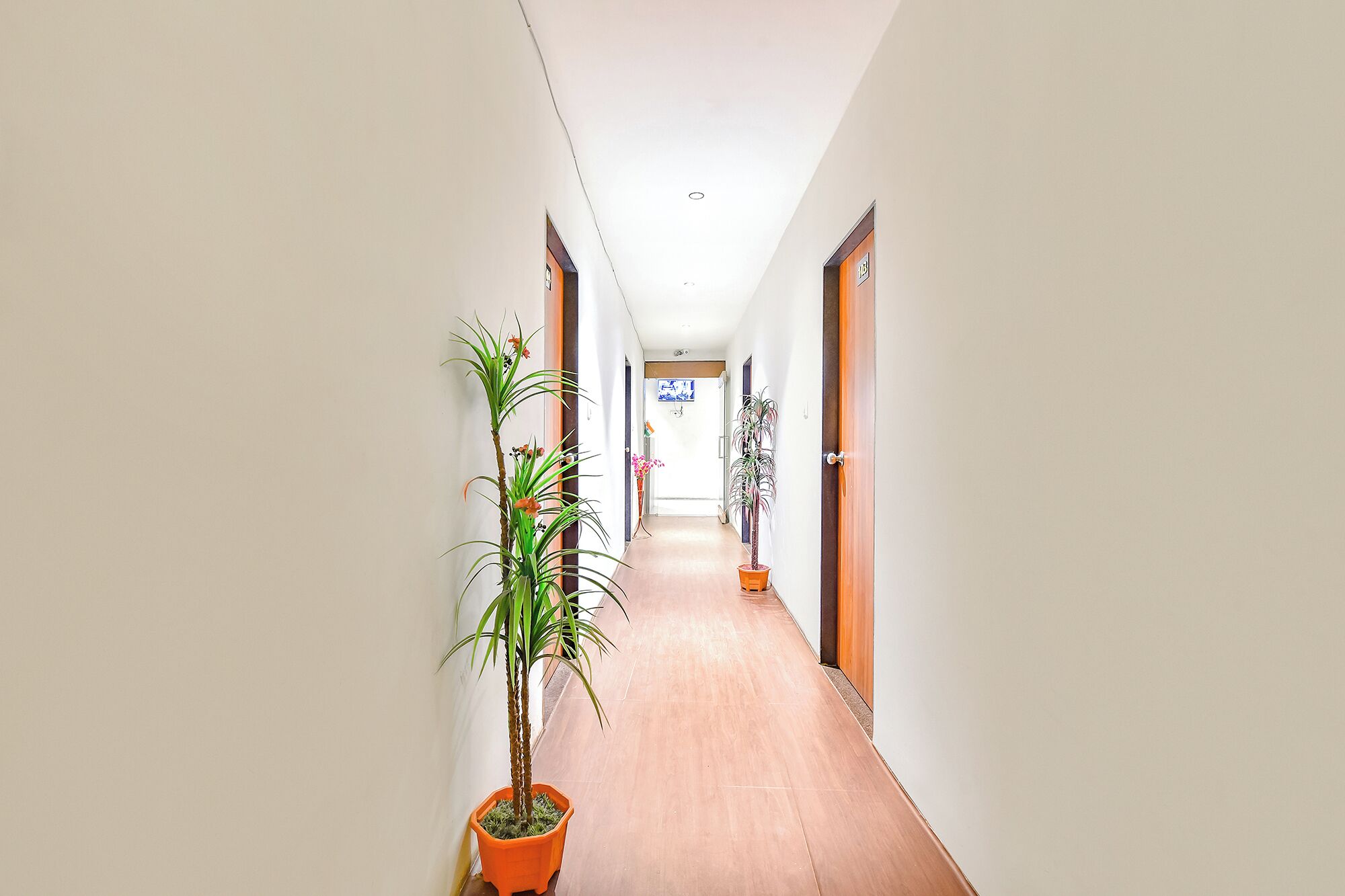 A narrow hallway with wooden flooring and white walls. There are potted plants on either side of the hallway.