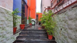 Una escalera estrecha flanqueada por plantas en macetas, que conduce a un edificio de fachada azul y naranja.