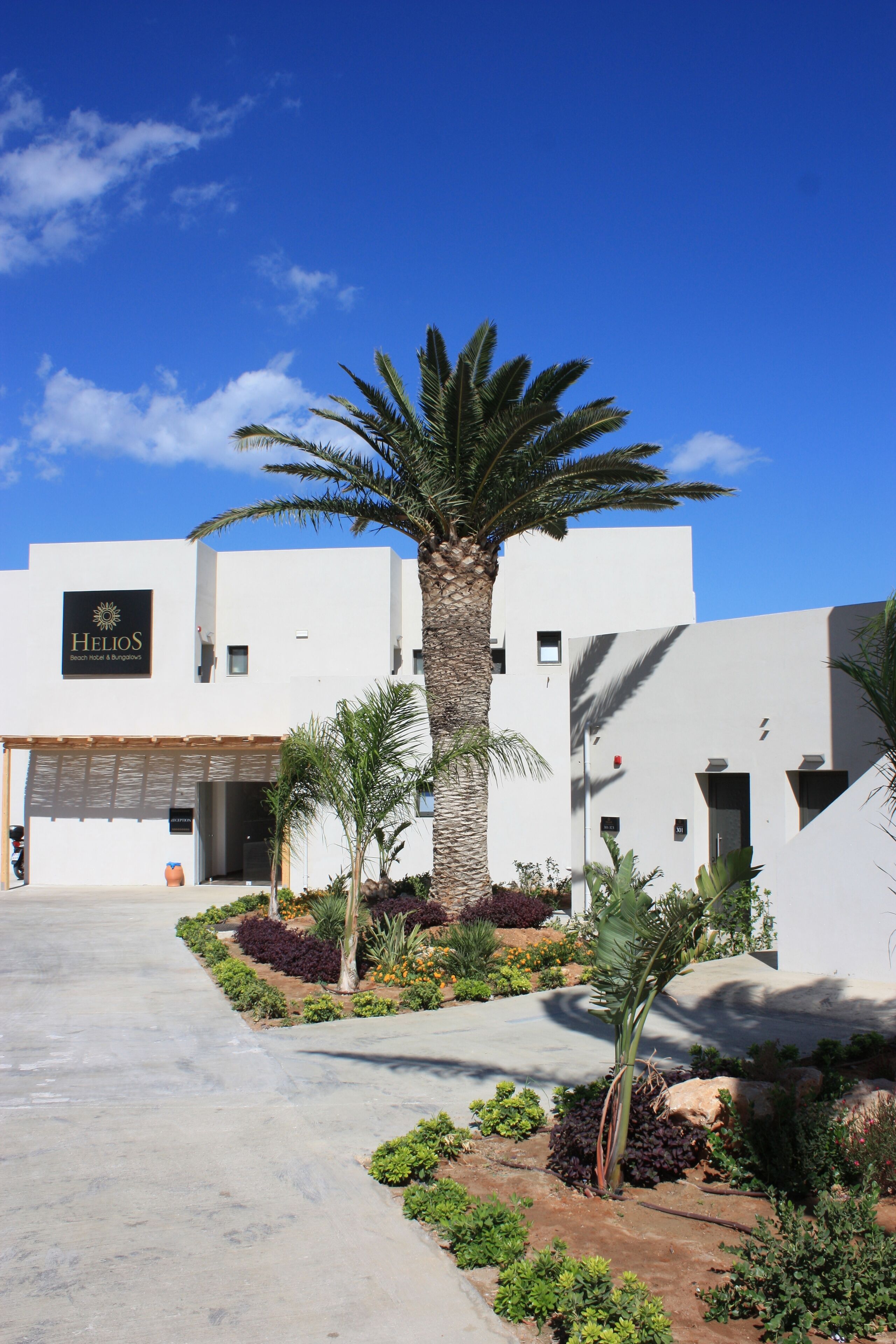 A hotel with a modern white facade, a palm tree in the center, and a clear blue sky.