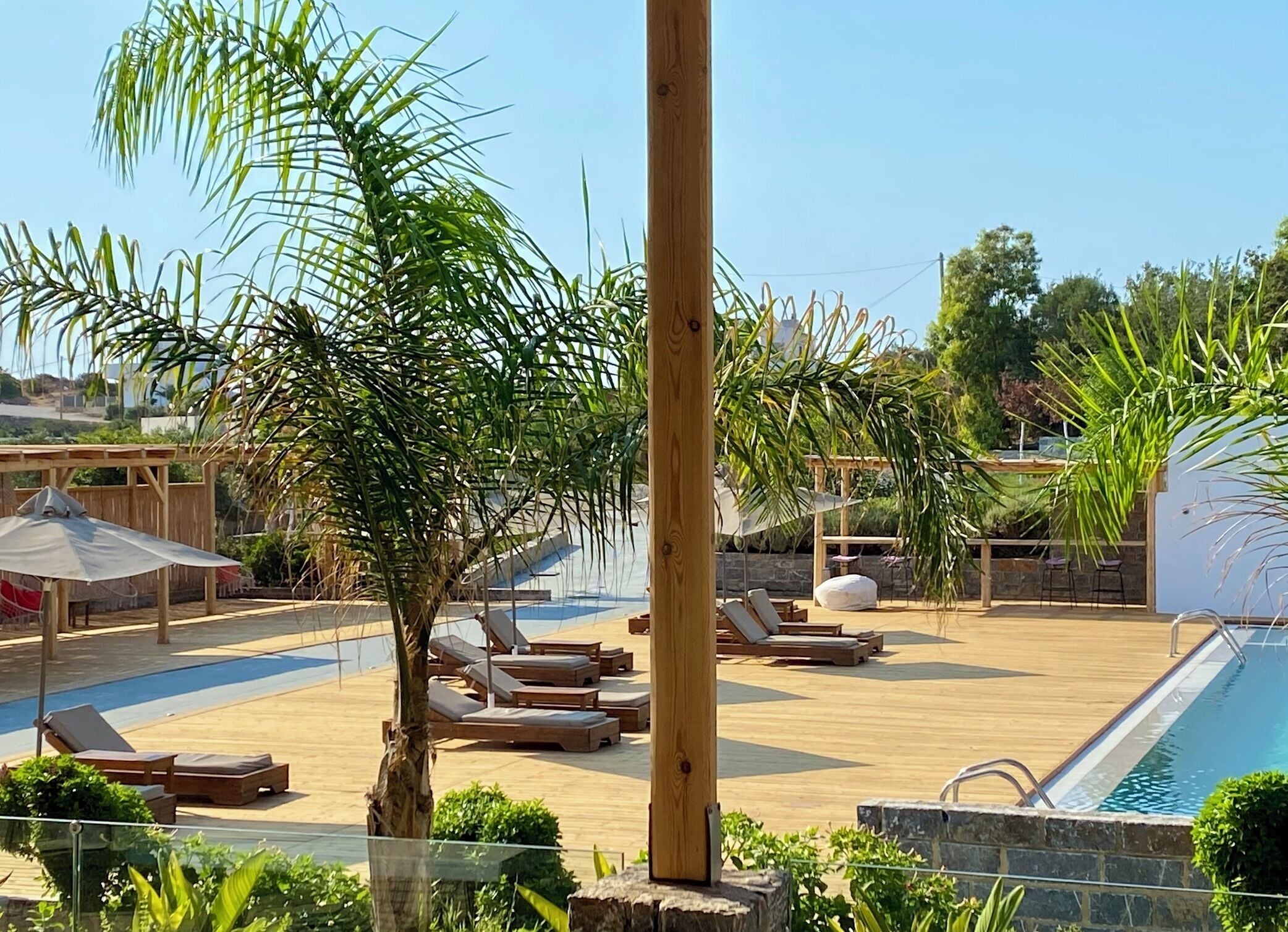 A poolside area with lounge chairs, a wooden deck, and palm trees.