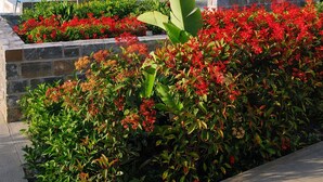 Un hotel moderno de varios pisos, con piscina, fachada de piedra y jardines exuberantes.