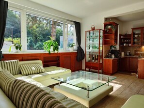 Luxury Villa | Living area | Fireplace - Vila Prag (Prague)