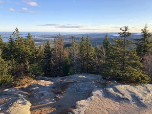 Uklassifisert bilde, 2 av 60, knapp