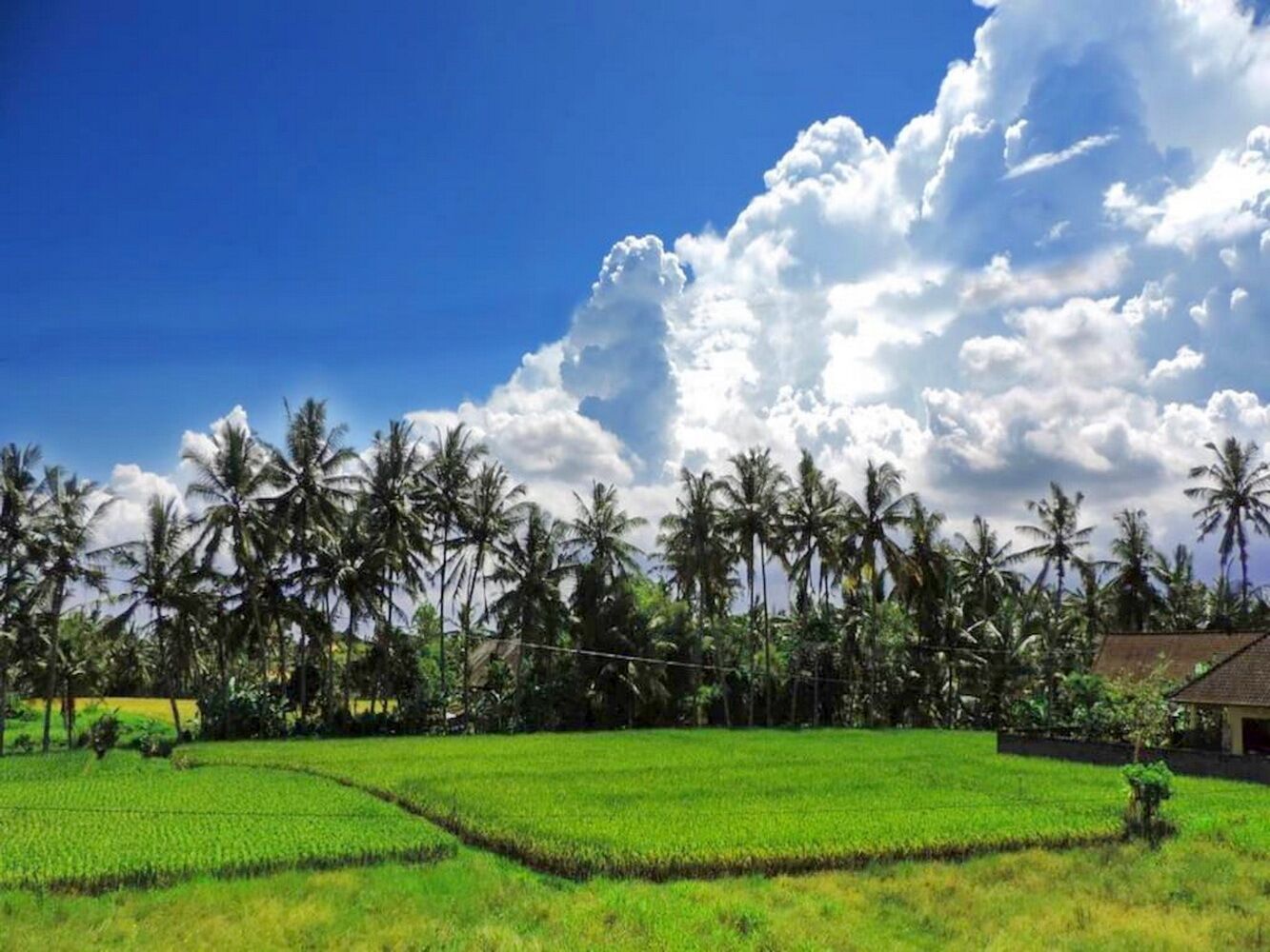 Foto - Pondok Ayu Soca