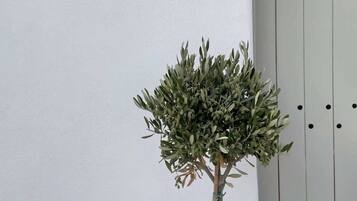 Details aan de buitenkant